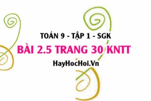 Bài 2.5 trang 30 Toán 9 tập 1 Kết nối tri thức: Bài Toán Về Năng Suất
